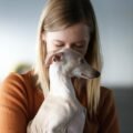 Zivilebj dog 6734749